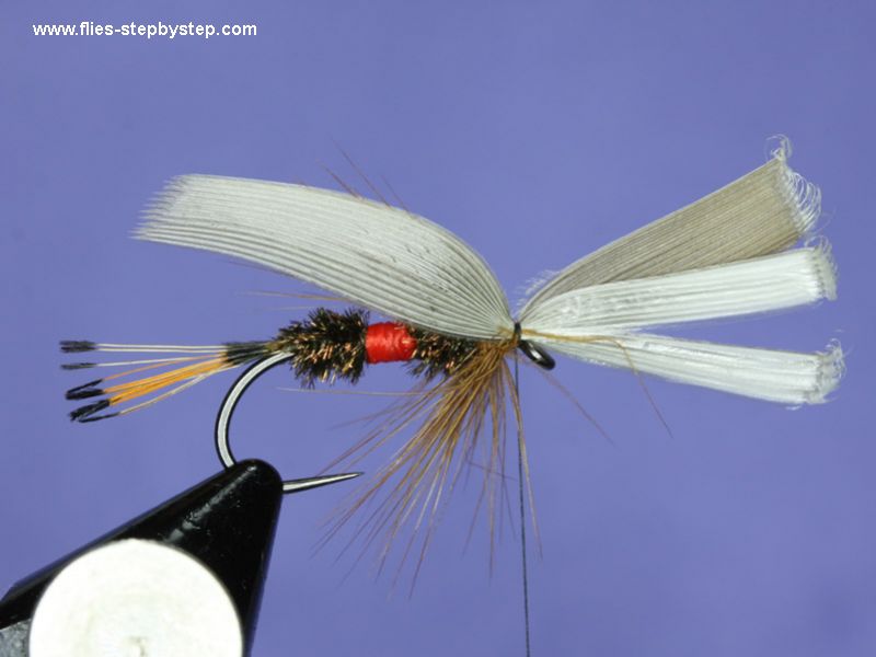 Royal Coachman classic wet fly pattern How to tie fly, Fly tying Step